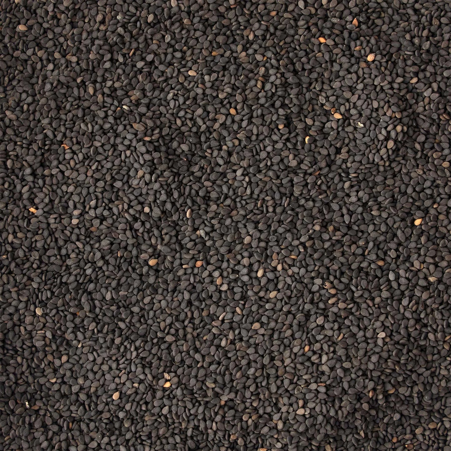 Black Sesame Seeds