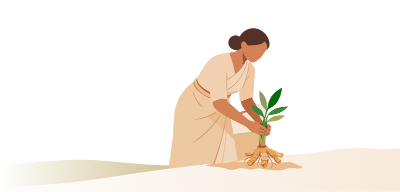 Planting.png__PID:495cf4fd-51b2-4cb8-81e1-14475d95ed0f